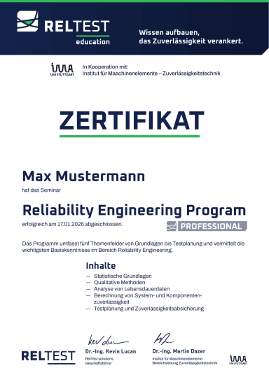 Sample RelTest Professional certificate
